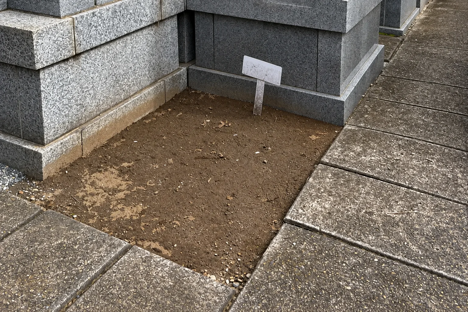 ム1番区画の写真